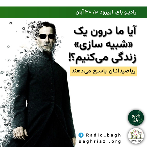 آیا ما درون یک شبیه سازی زندگی می کنیم؟! episode artwork